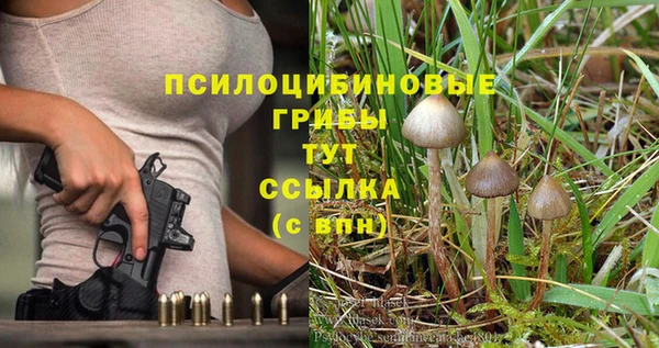круглые Алзамай
