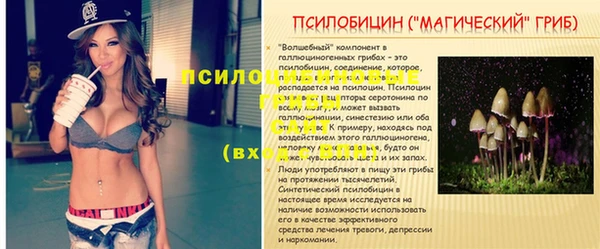круглые Алзамай