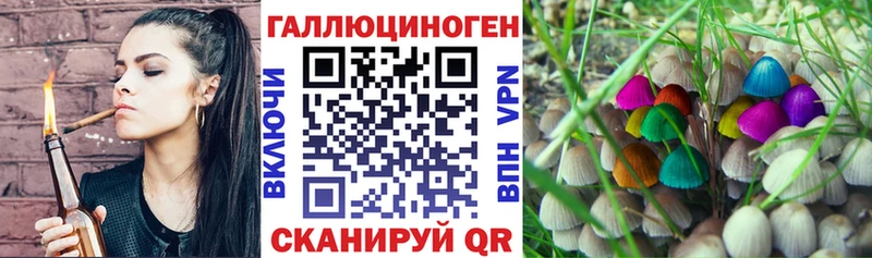 где можно купить наркотик  Нытва  Псилоцибиновые грибы ЛСД 